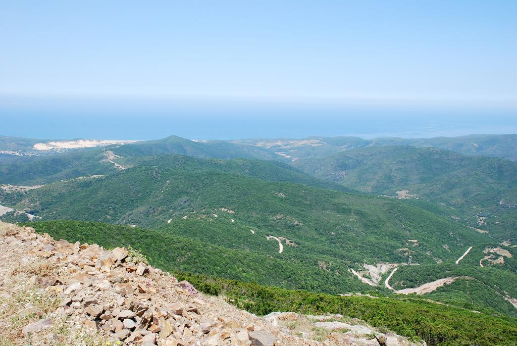 アルブス Agriturismo Rocca Su Moruヴィラ エクステリア 写真