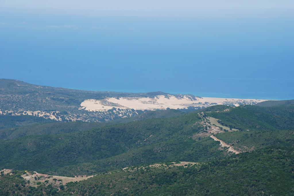 アルブス Agriturismo Rocca Su Moruヴィラ エクステリア 写真