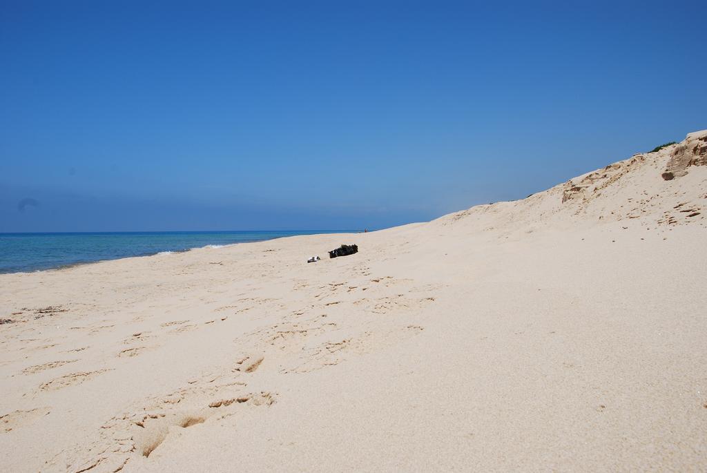 アルブス Agriturismo Rocca Su Moruヴィラ エクステリア 写真