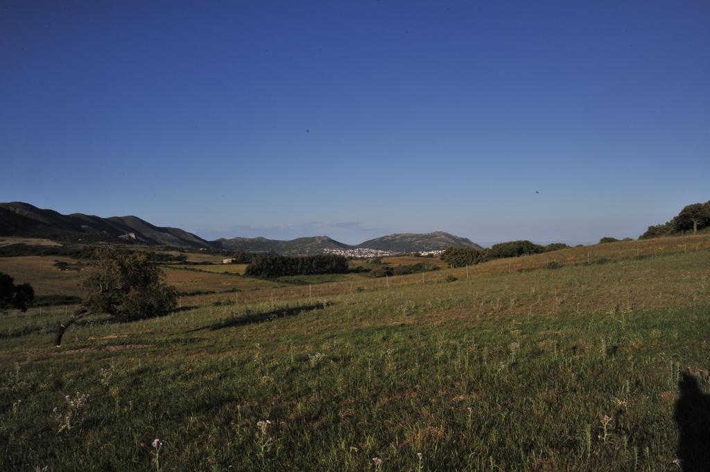 アルブス Agriturismo Rocca Su Moruヴィラ エクステリア 写真